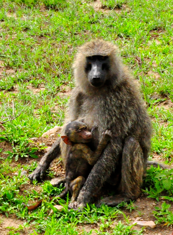 Melanie Heinrich Travel Images Africa